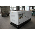 Lovol Engine 1003TG 30 kW Disary Generator